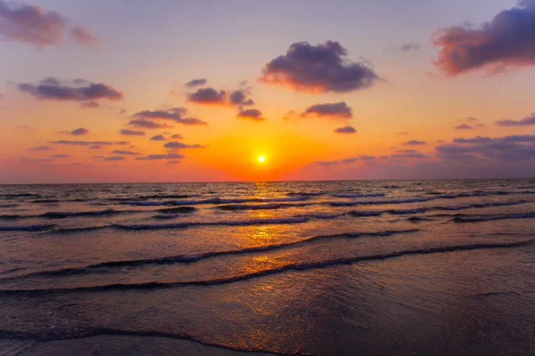 הצעת נישואין בשקיעה