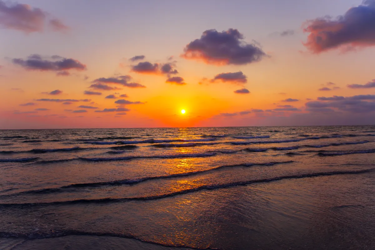 הצעת נישואין בשקיעה